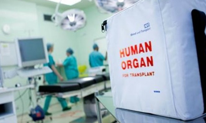 Χρονιά-ρεκόρ-το-2024-για-τη-δωρεά-και-τις-μεταμοσχεύσεις-οργάνων-στην-Ελλάδα