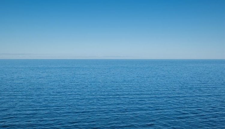 Νέα-επιχείρηση-διάσωσης-της-«Τίμι»,-της-μεγάπτερης-φάλαινας-που-παραμένει-εγκλωβισμένη-στην-Βαλτική